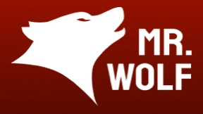mr-wolf-slots logo