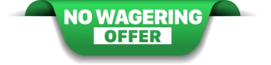 No Wagering Offer
